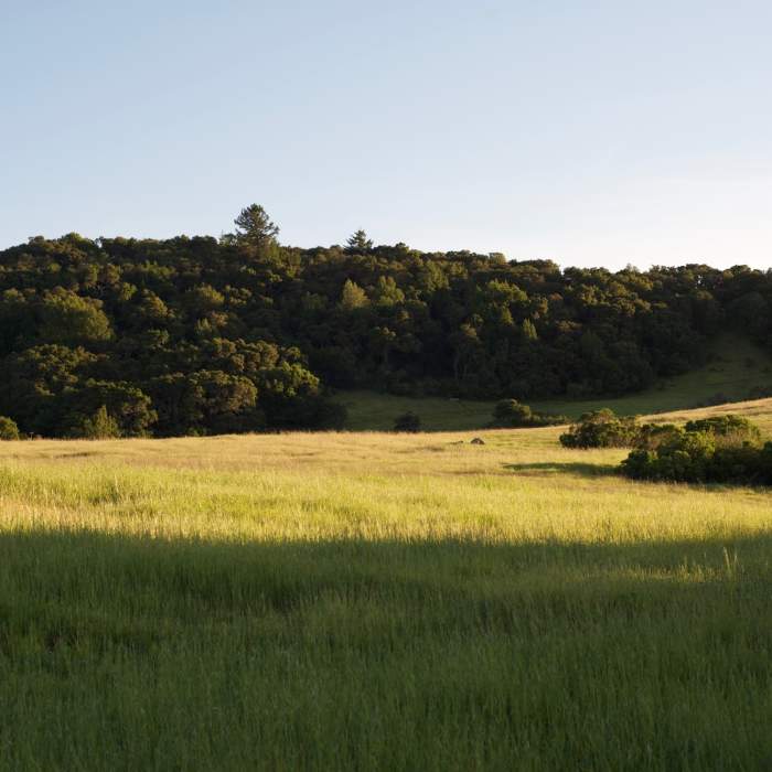 Near Edgewood Nature Preserve Loop