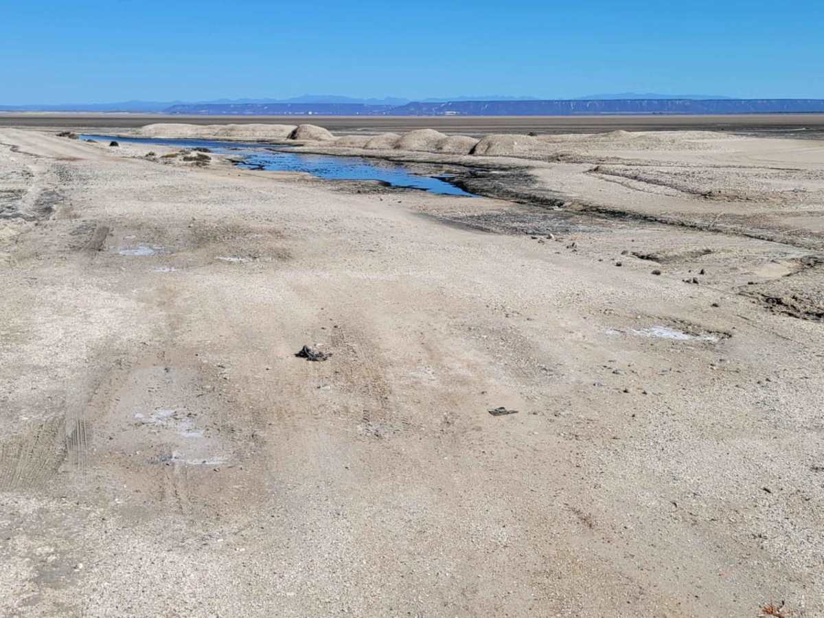Laguna San Ignacio photo 6