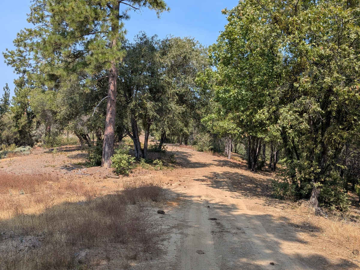 FS 2S37 trail photo