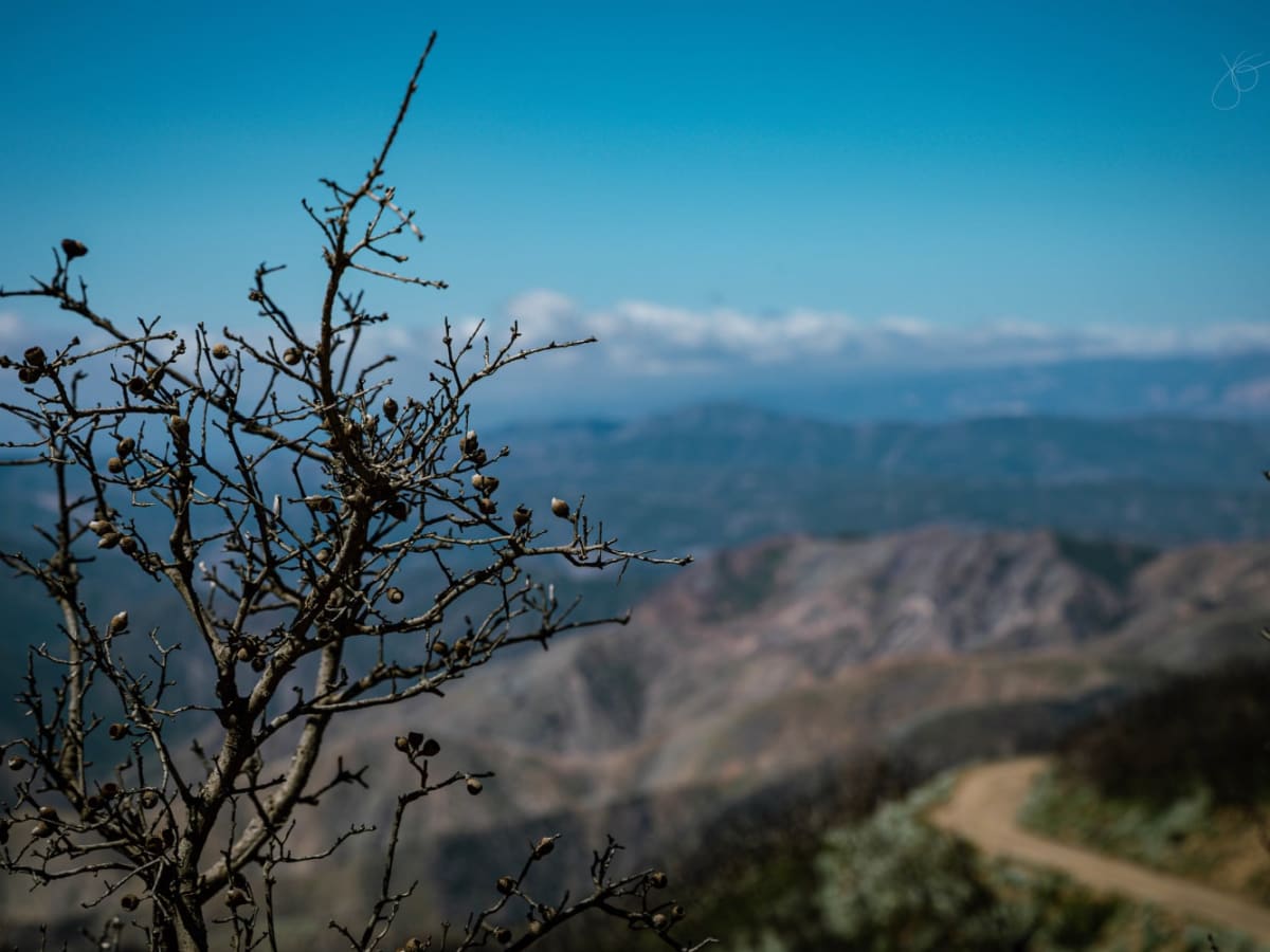 The Highest Peak of the Sierra Pelona photo 5