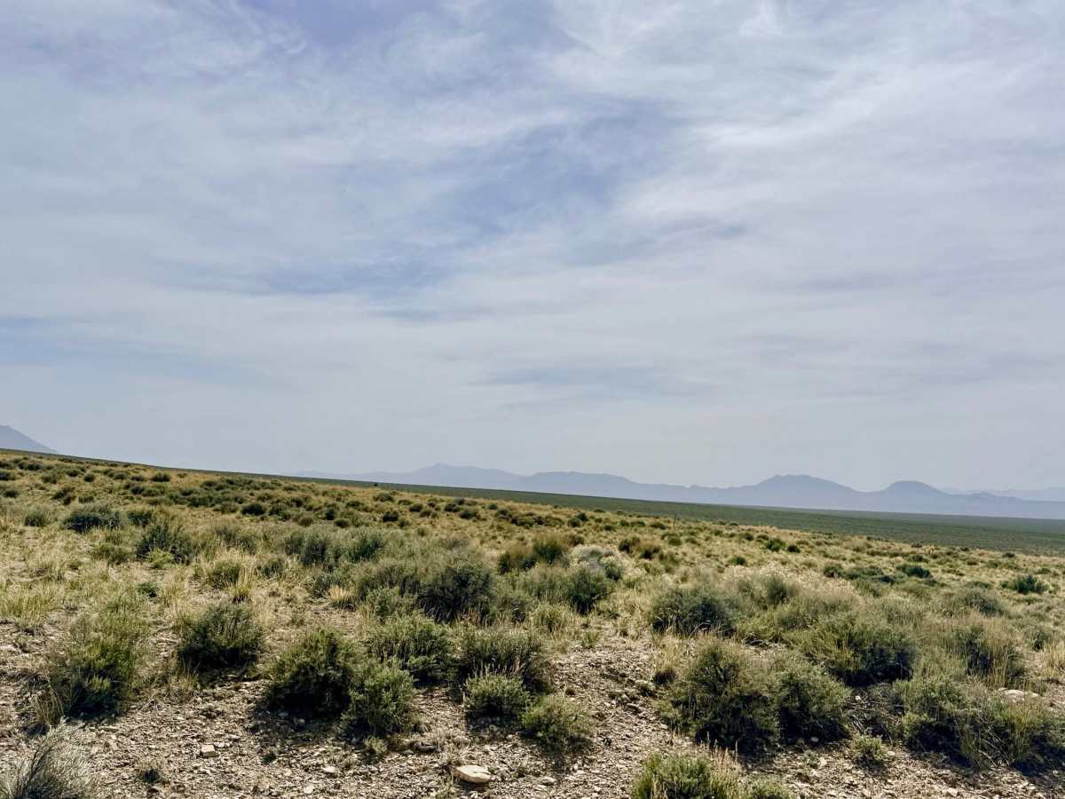 Dry Canyon South - FS 23004 photo 4