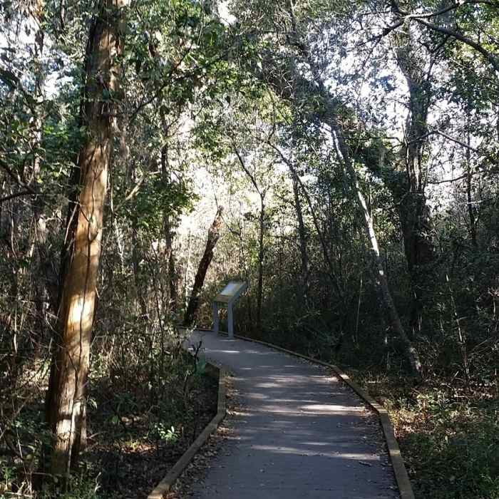 Part of the nature trail close to the park service building is decking material / boardwalk. Near Naval Live Oaks Loop