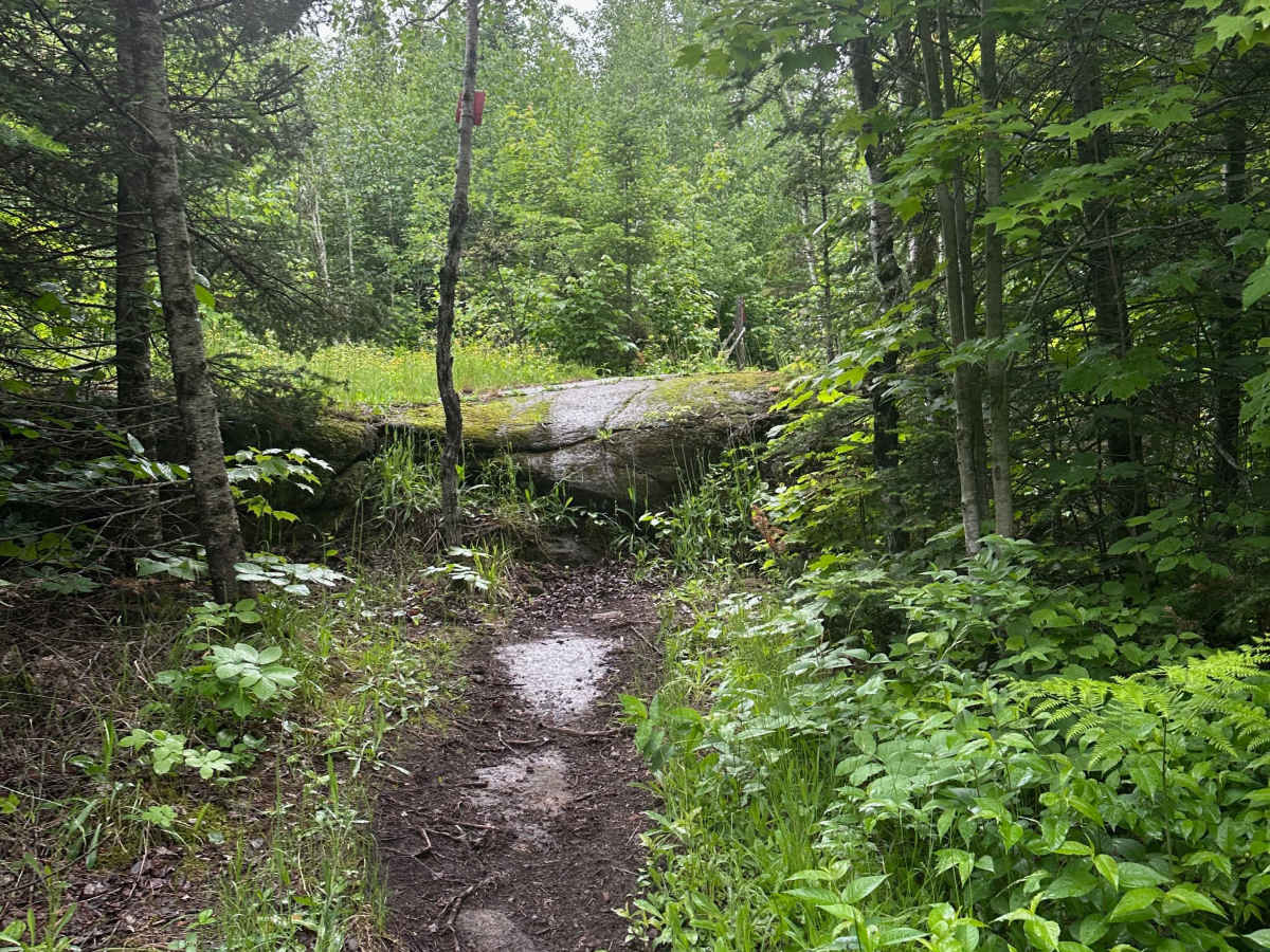 Alger Grade - Trail 7 photo 6