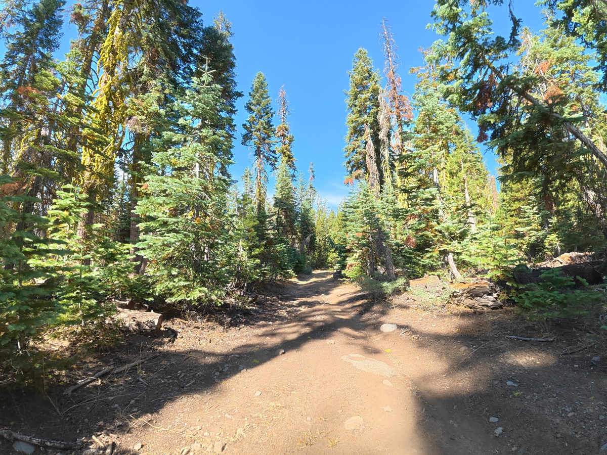 FS 6N66Y trail photo