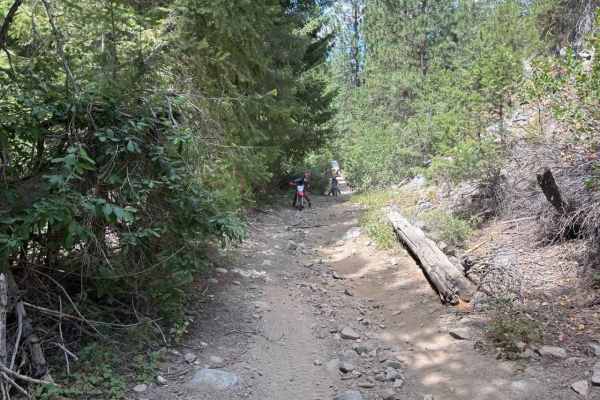Pine Gulch
