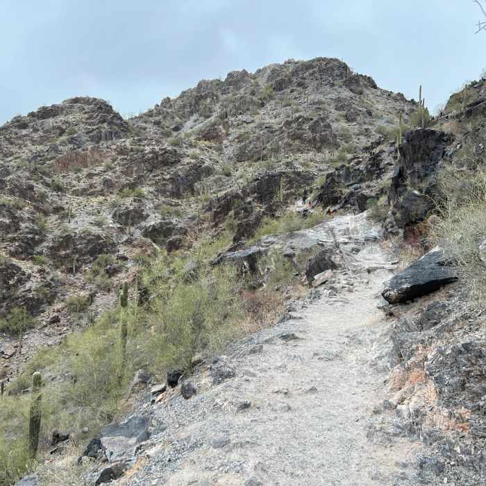 Near Piestewa Peak Summit Via Freedom Trail