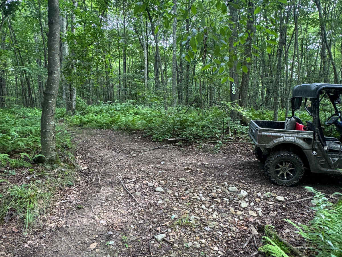 Trail 60 photo 6