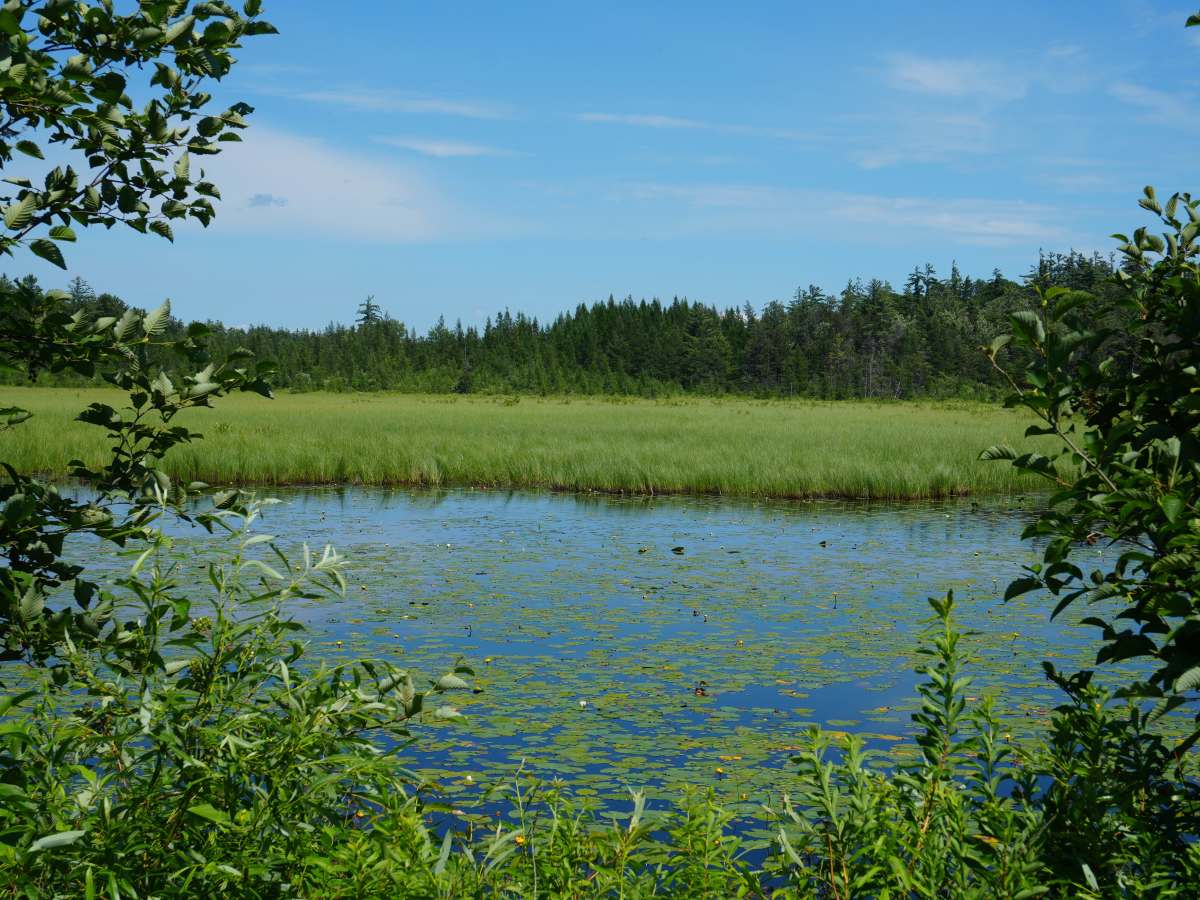 Possum Trail photo 3