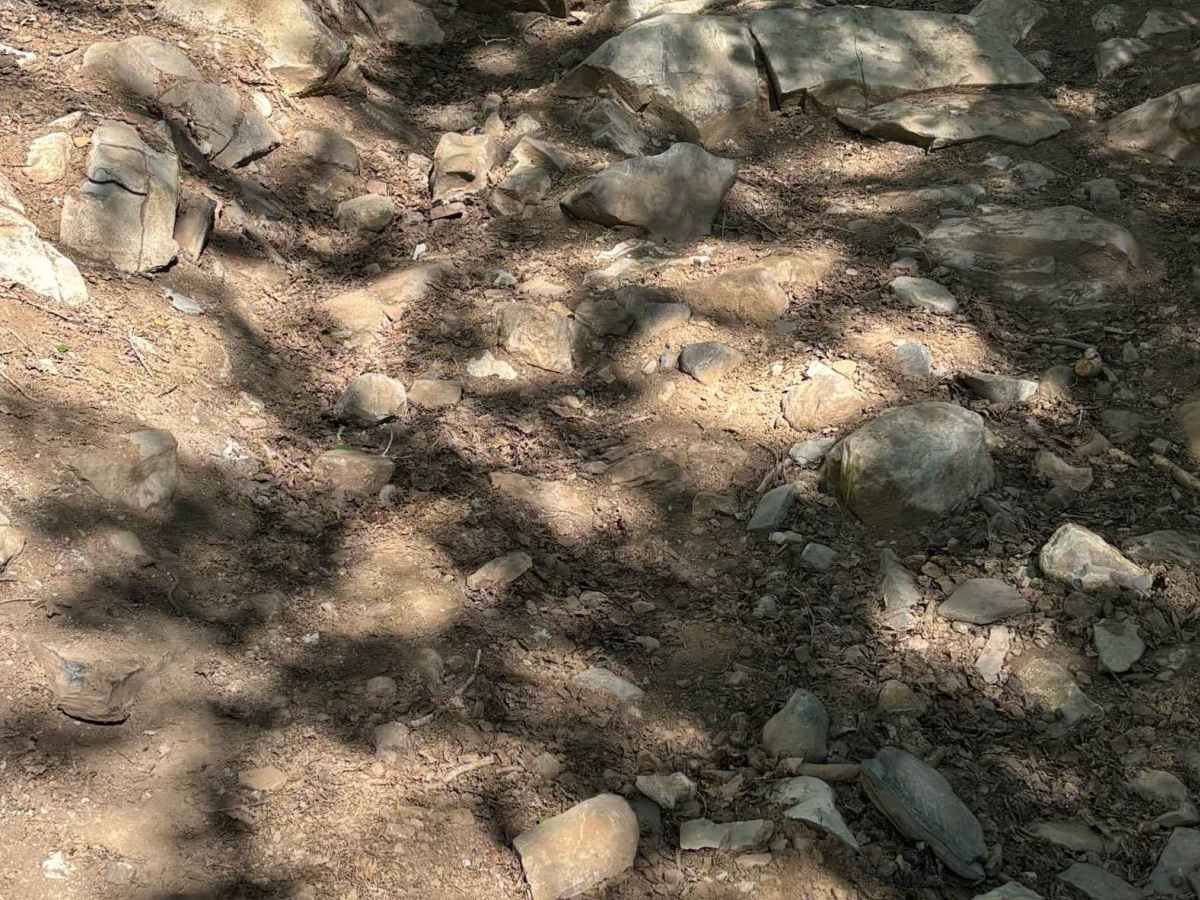 Corral Point Road photo 6