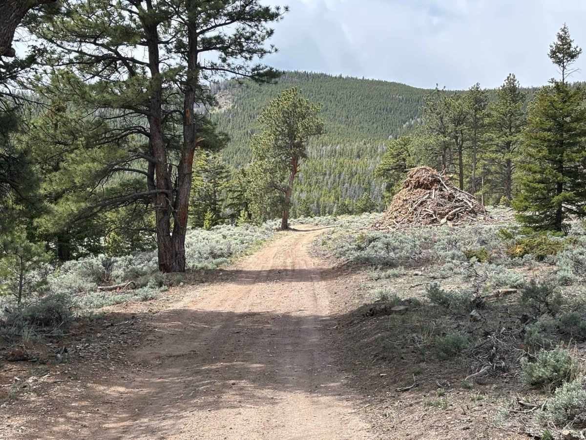 Velvet Buck Road photo 5