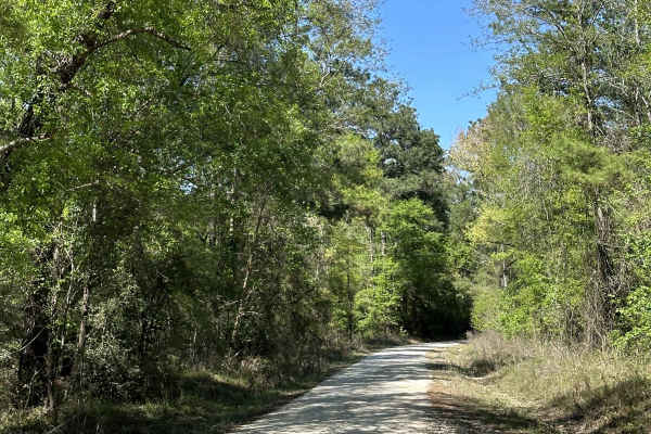 Elmer Smith Road