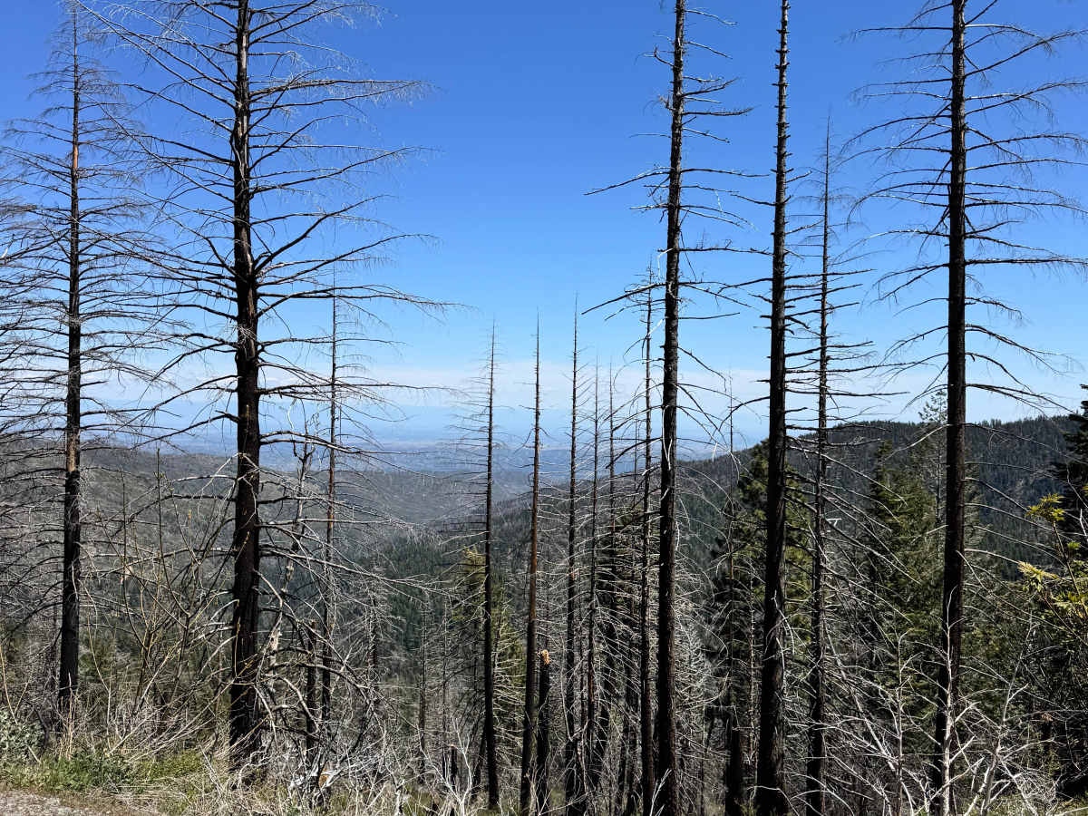 Road 311 photo 4