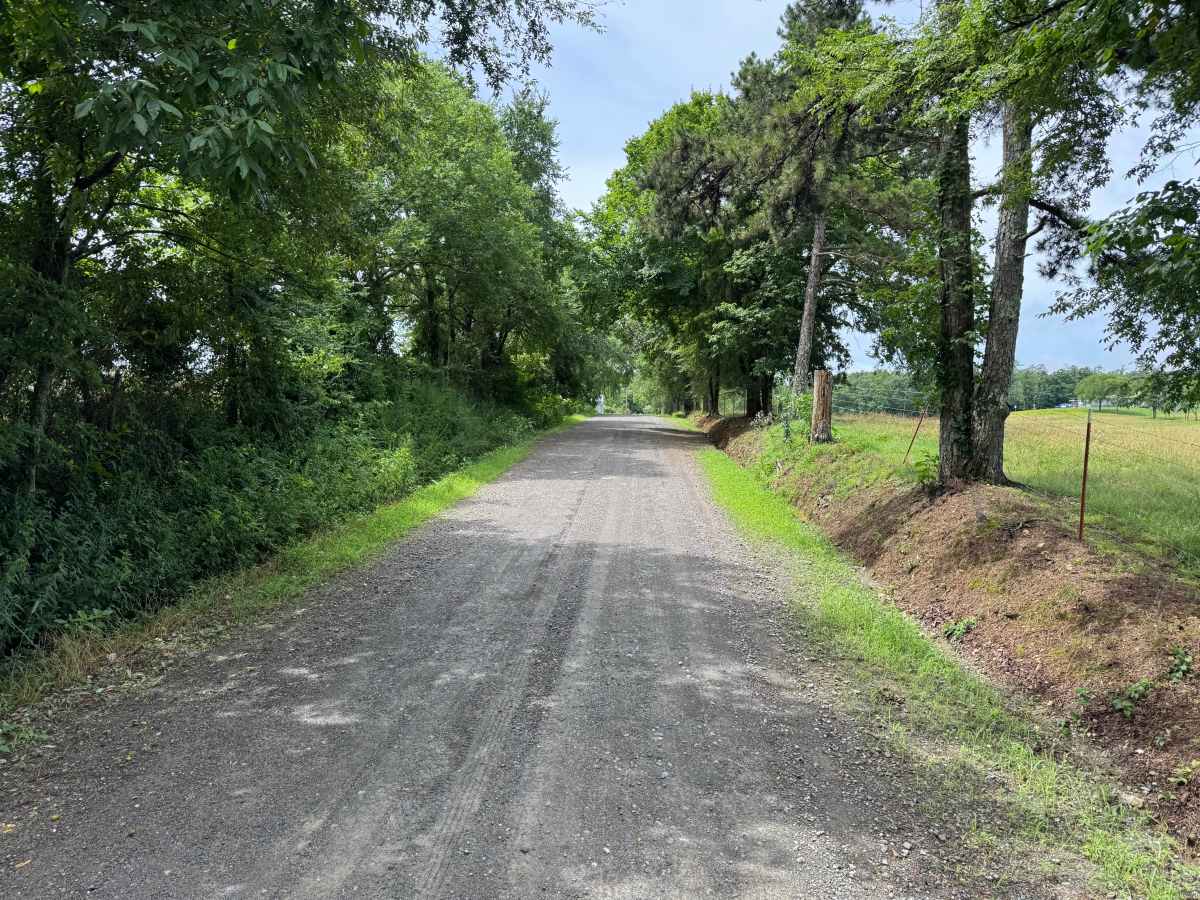 Gaston Road photo 5