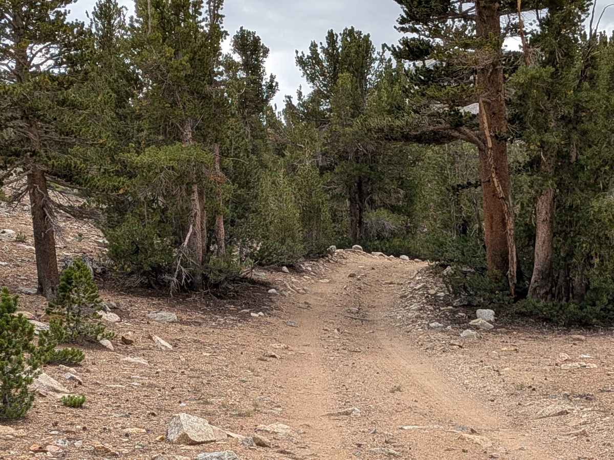 Coyote Lake Trail - FS 31E304 photo 2