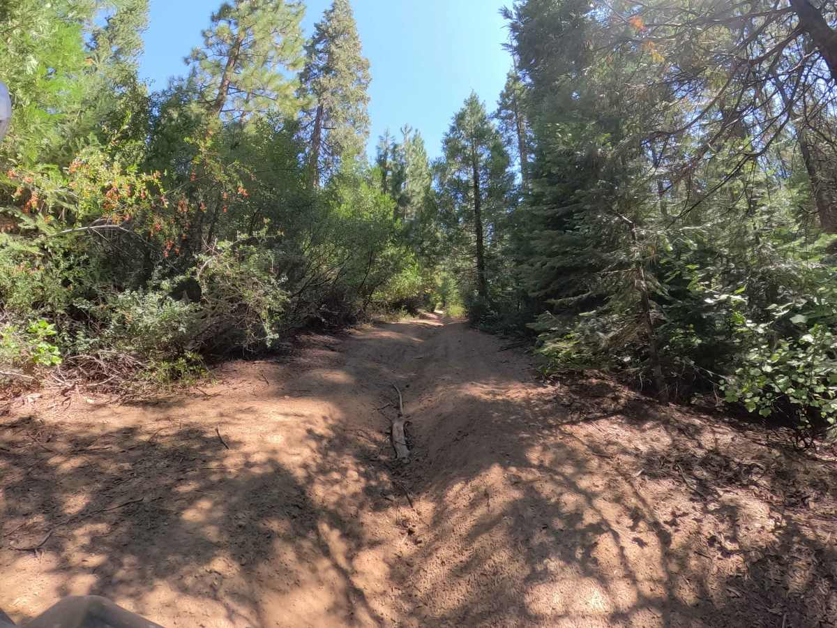 Texas Flat - FS 6S038 trail photo