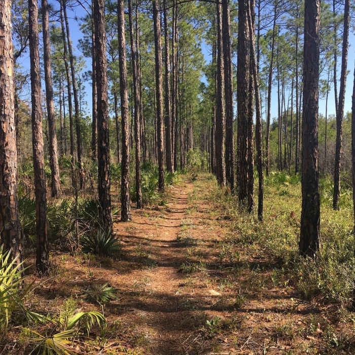 Near Crooked Creek Bike Trail