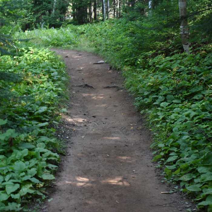 Near Lookout Mountain Loop Near Lookout Mountain Loop
