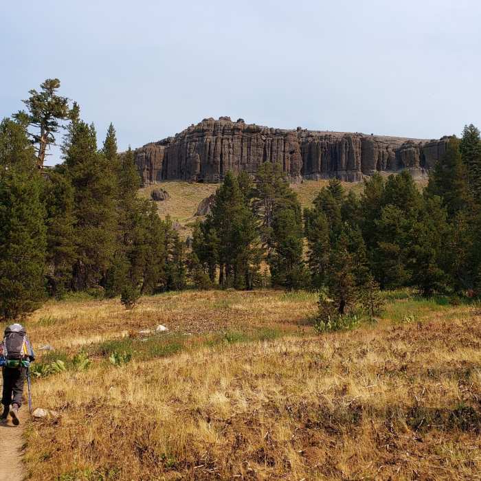 Near Wheeler Lake Trail