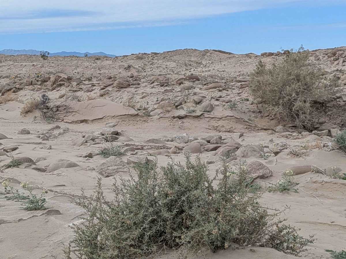 Sand Rail Wash photo 5