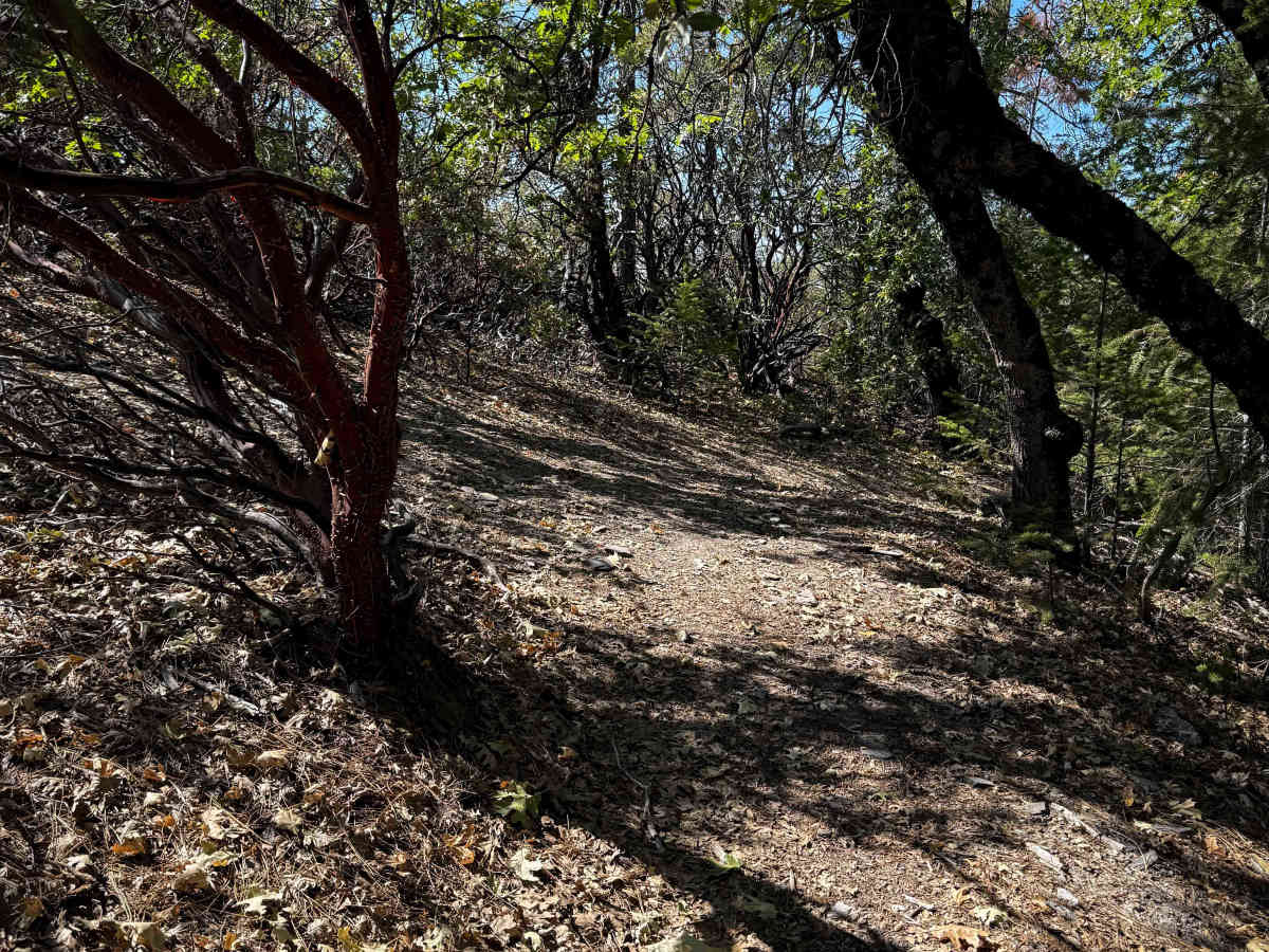Trail 1-5 (11E51)  photo 6