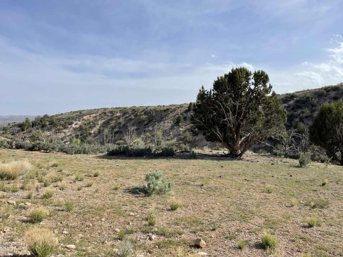 Up & Out Of Oak Patch Wash photo 2