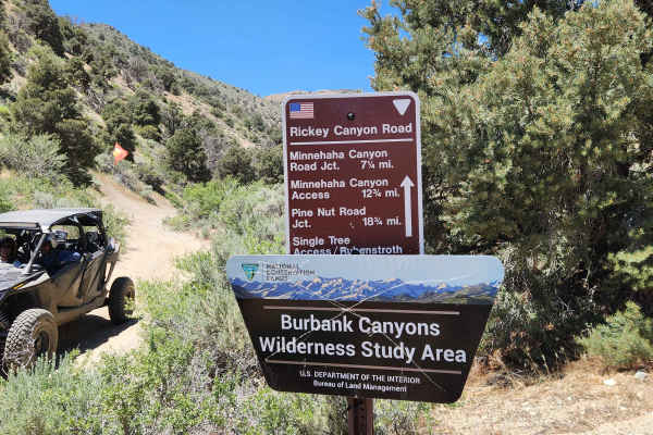 Rickey Canyon - BLM P-11