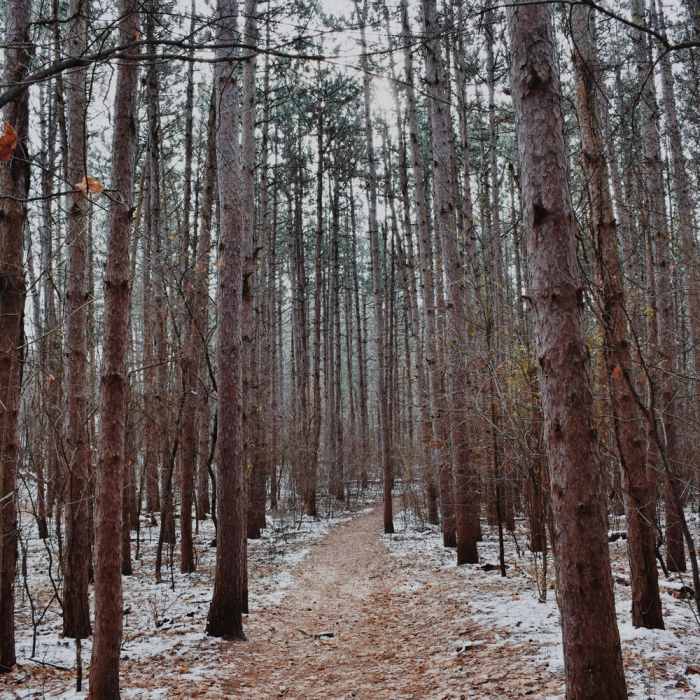 Near Provin Loop Hike