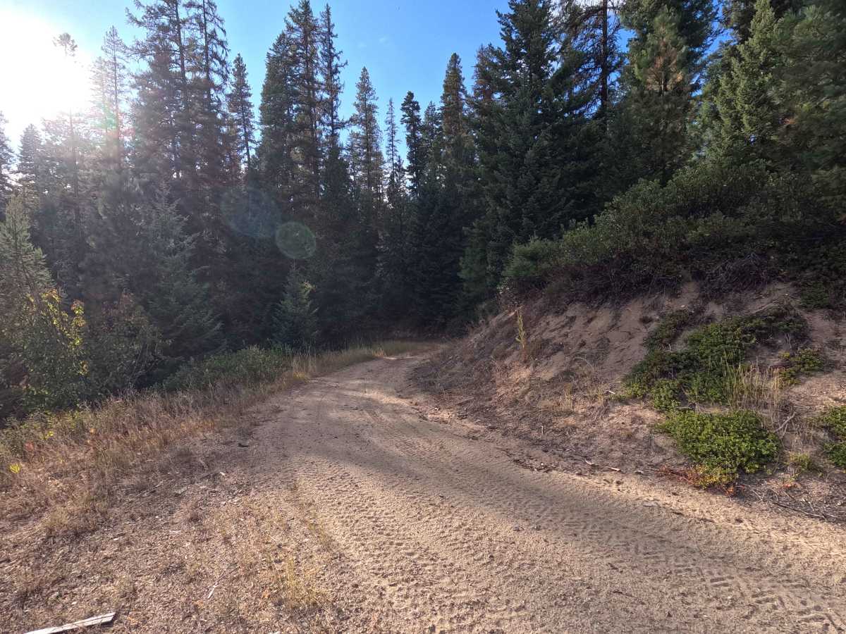 Tola - FS 461 photo 5
