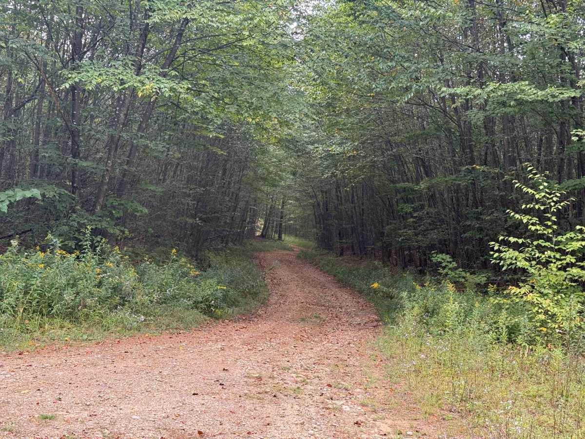 FS 144 trail photo