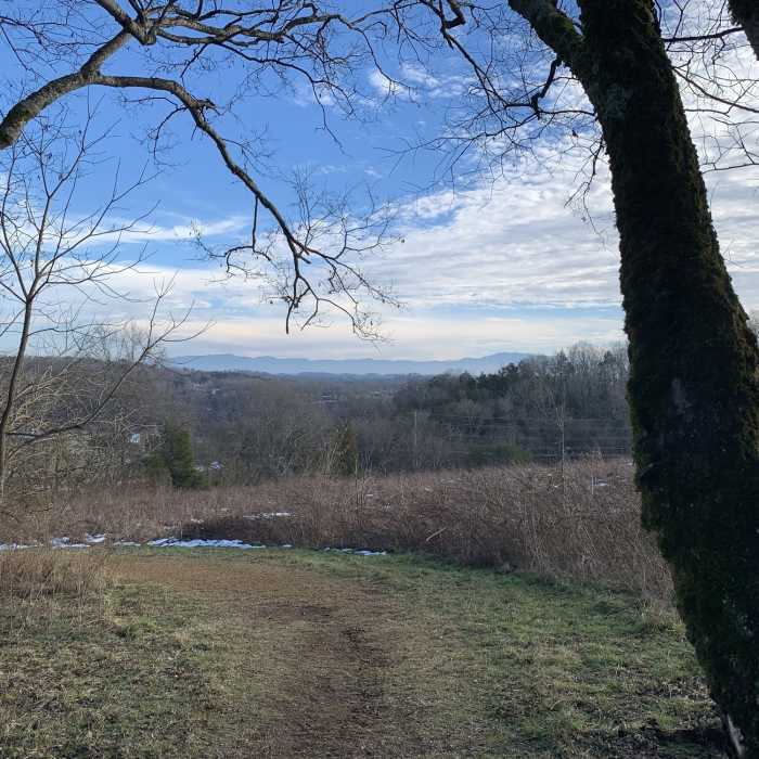 Near Upland Trail Outer Loop