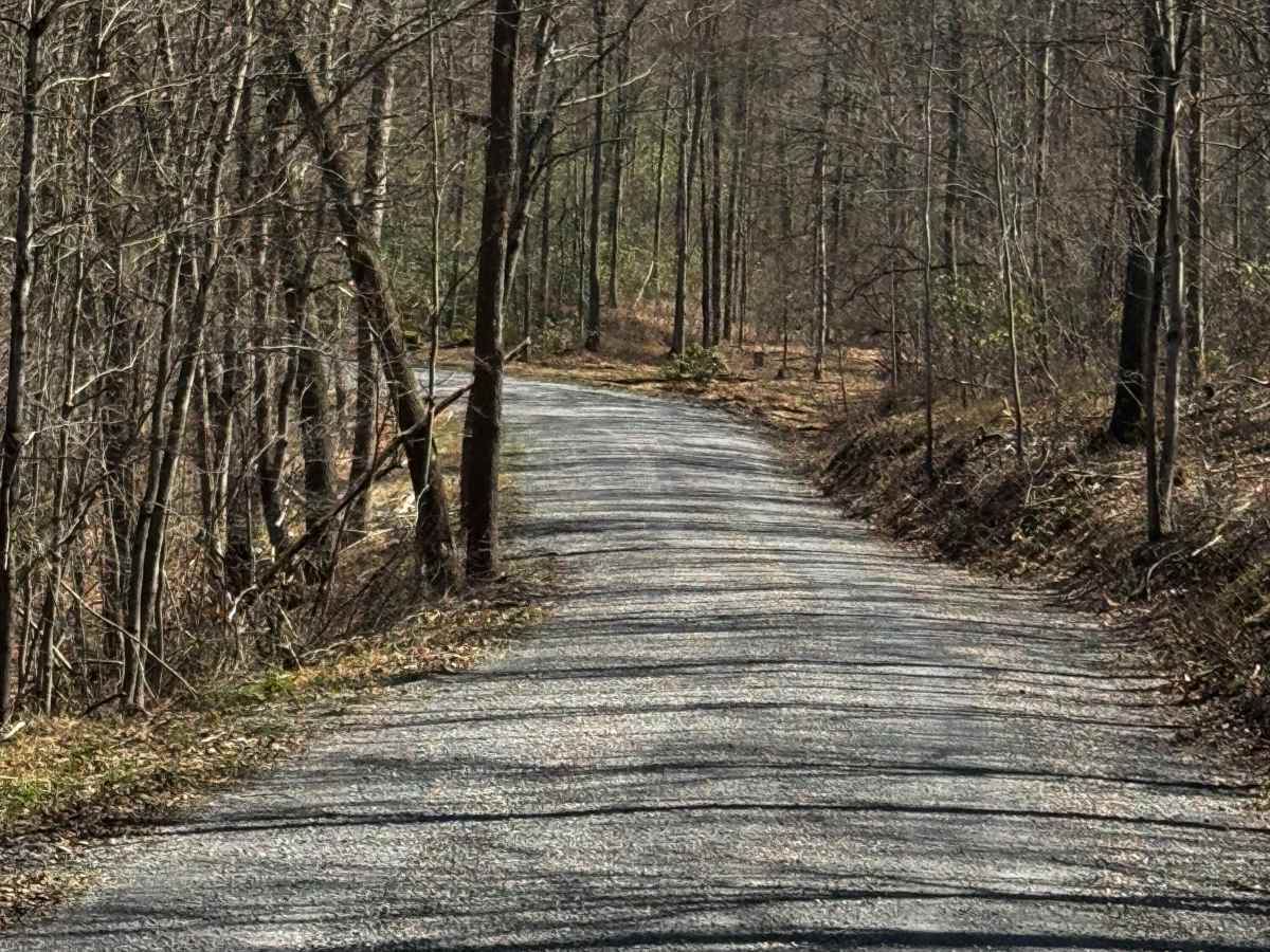 Marsh Creek Trail photo 6