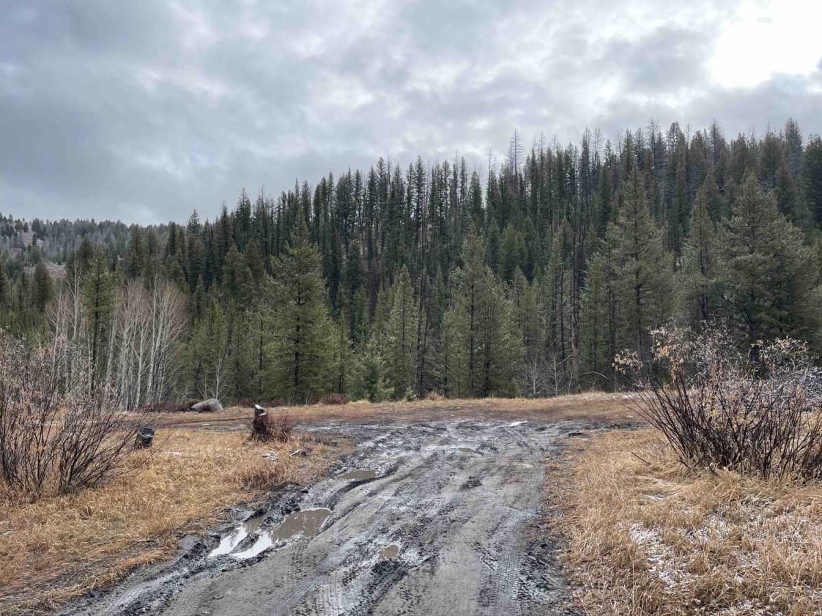 Rough Creek photo 5