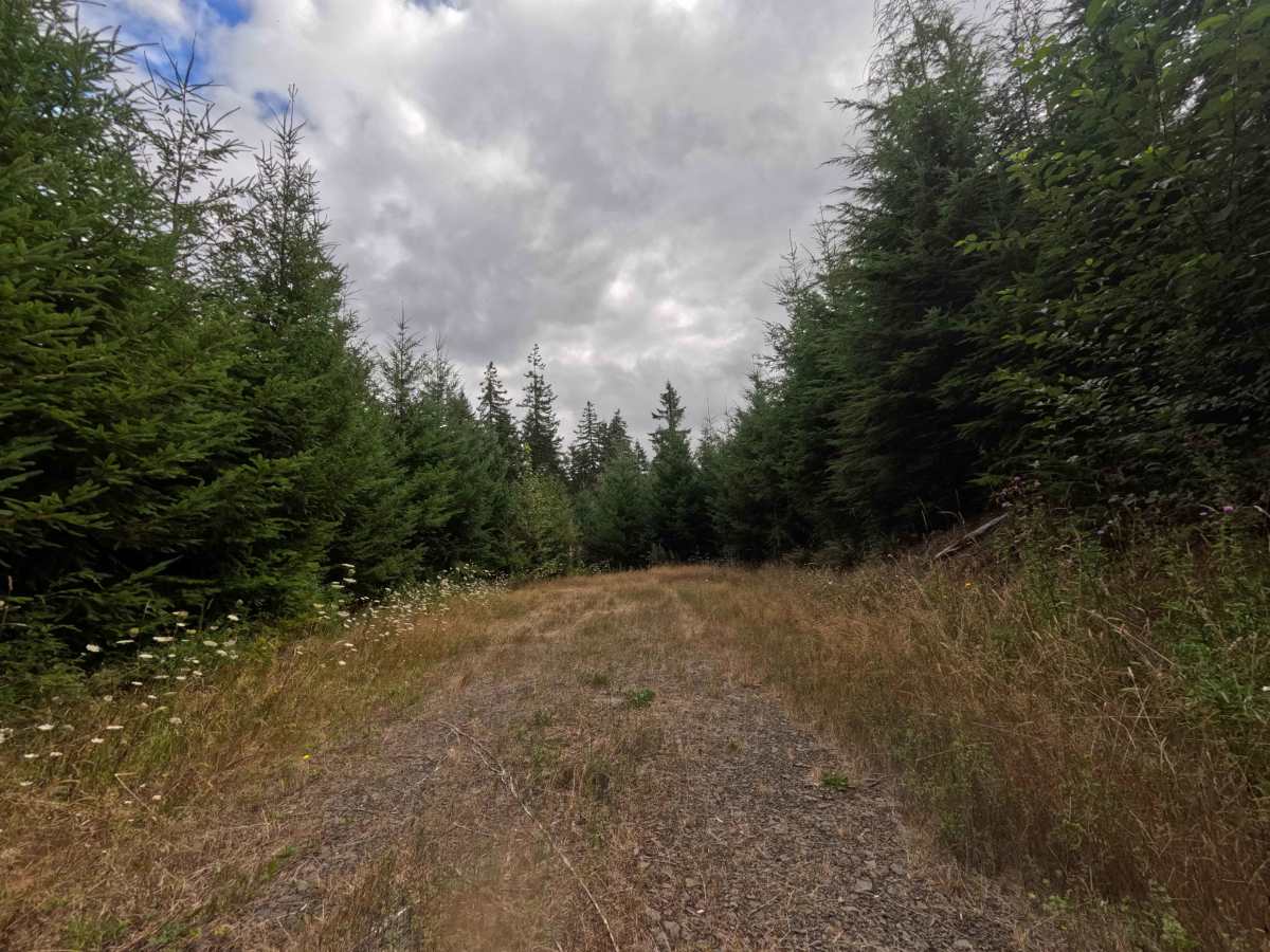 W-541 trail photo