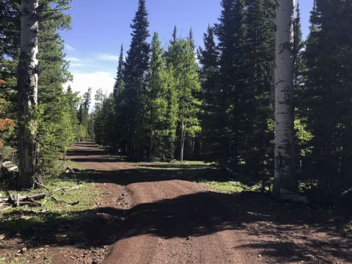 Sage Valley Road photo 5
