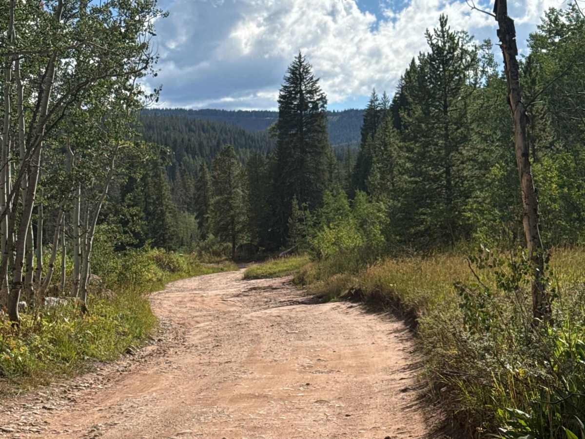 South Fork Piney - FS 701 photo 6