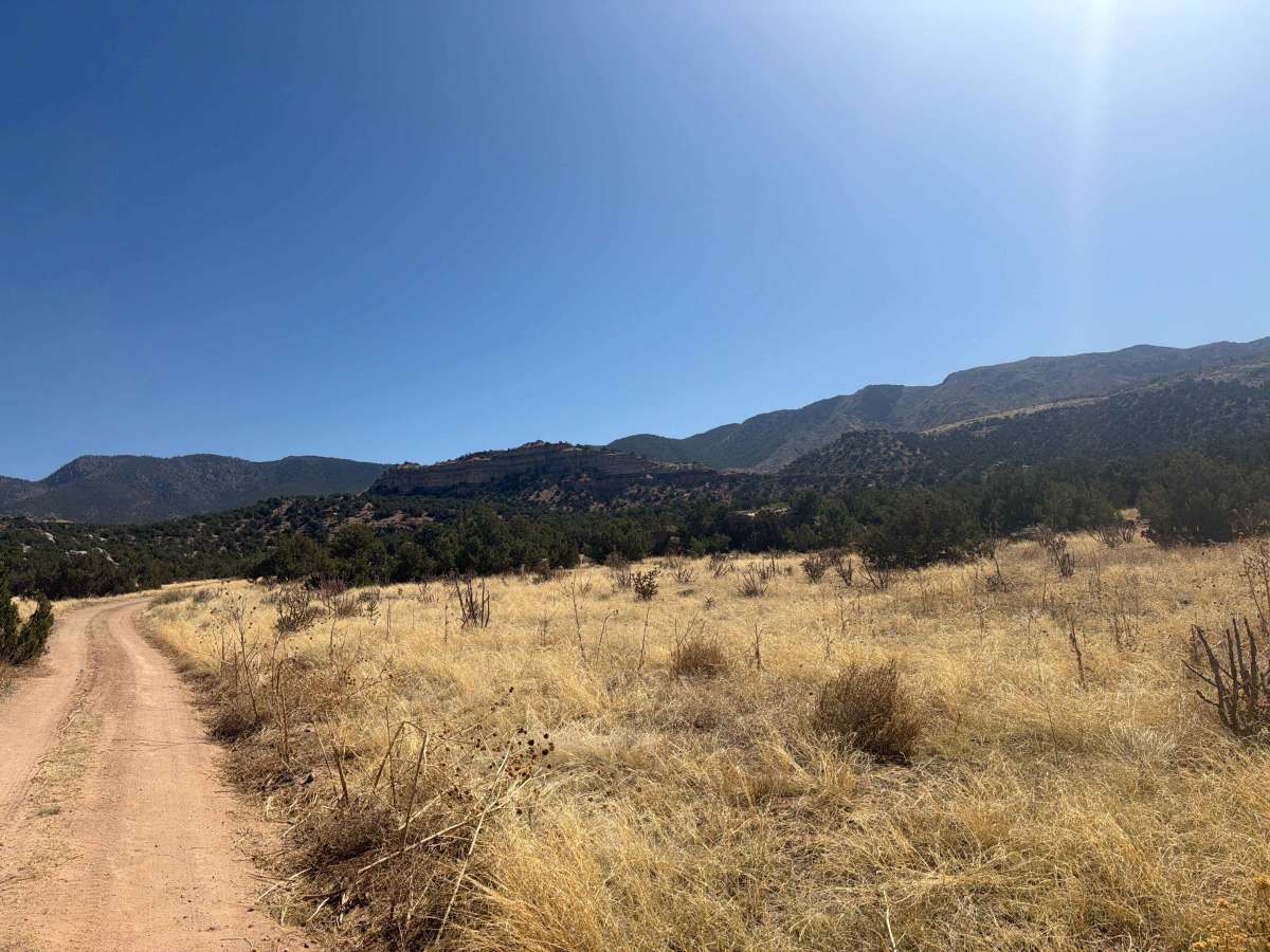 BLM 5941A photo 3