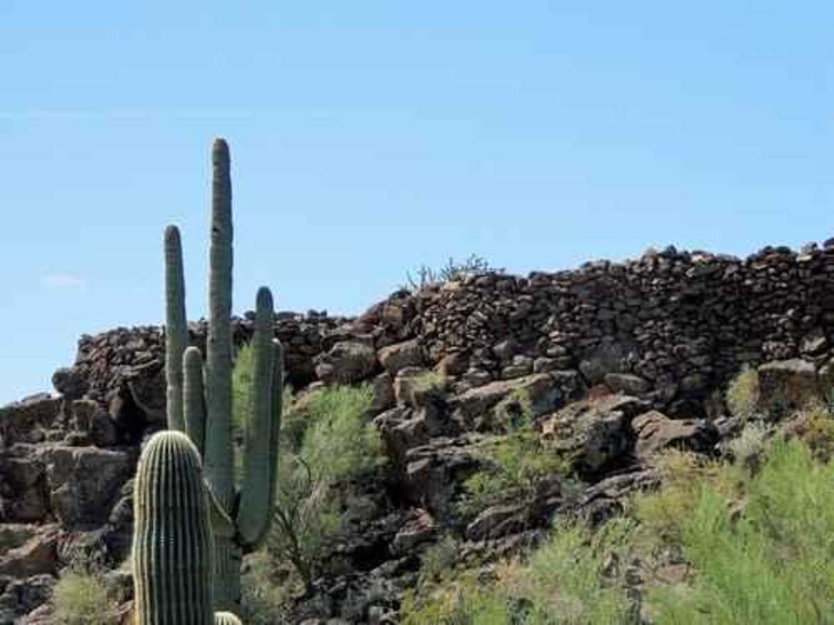 Indian Fort trail photo