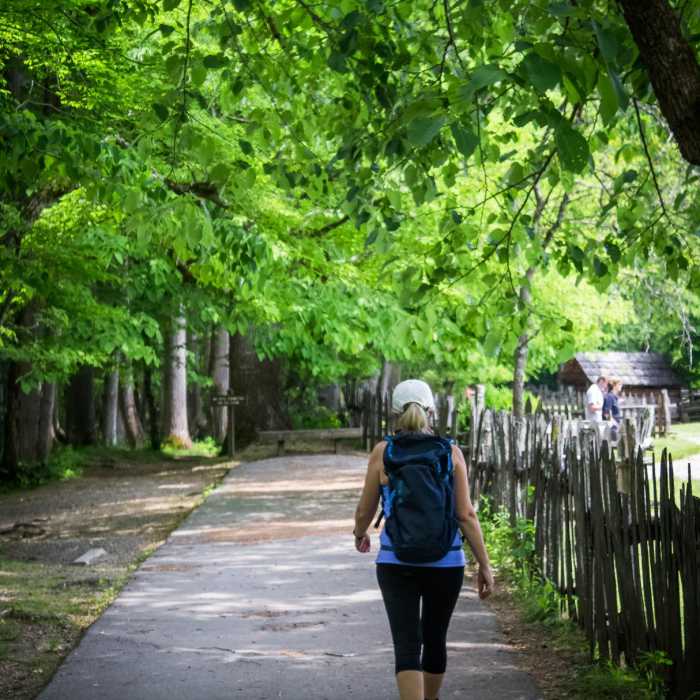 Near Oconaluftee River Trail + Mountain Farm Museum Near Oconaluftee River Trail + Mountain Farm Museum