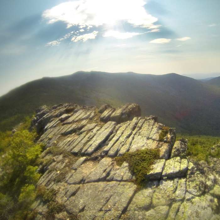 Near The Traveler and South Branch Mountain Loop