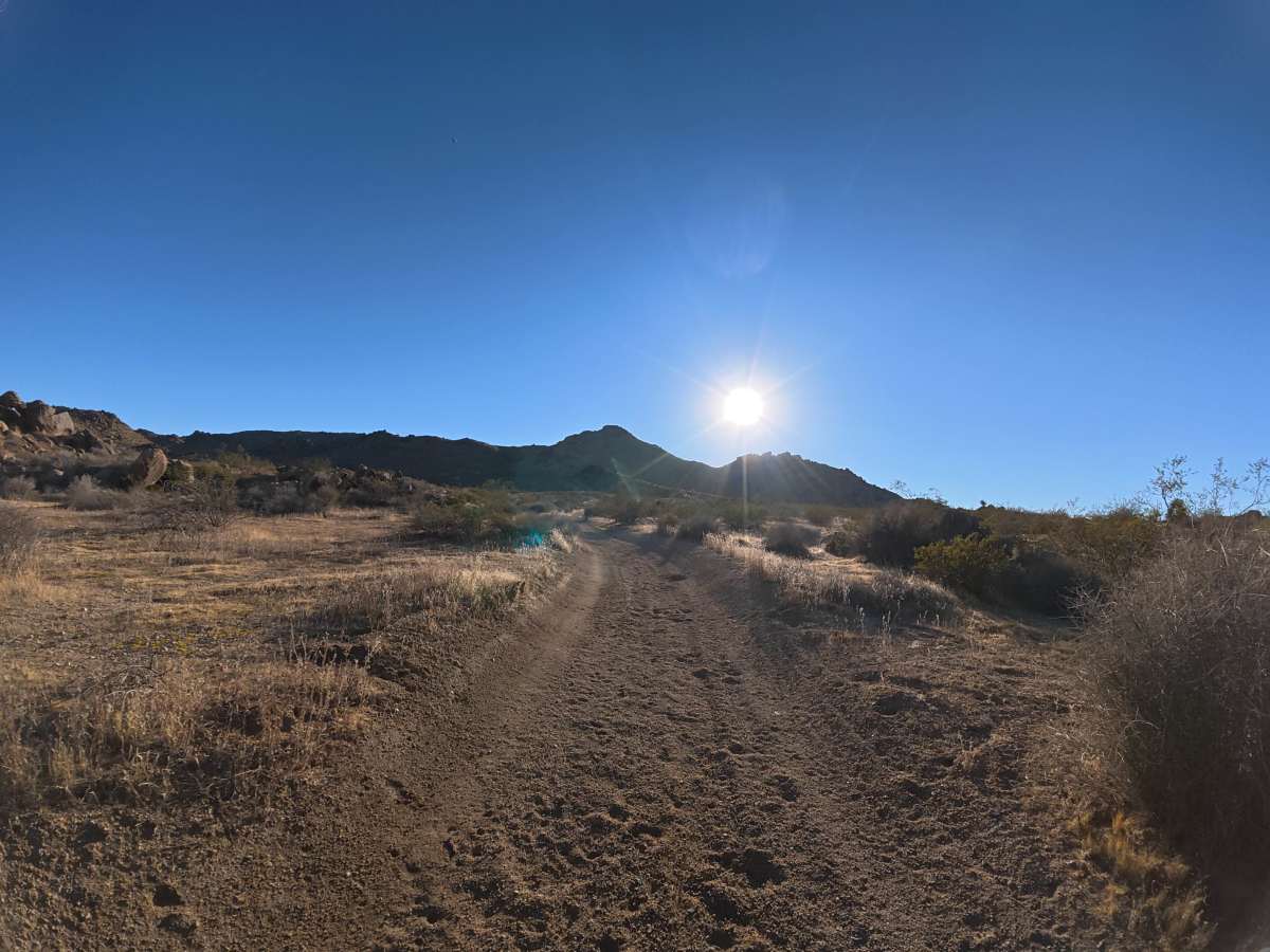 BLM SV2614 photo 5