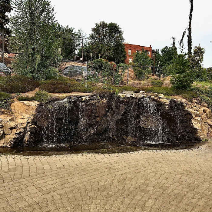 Near Pullman Pathways Loop