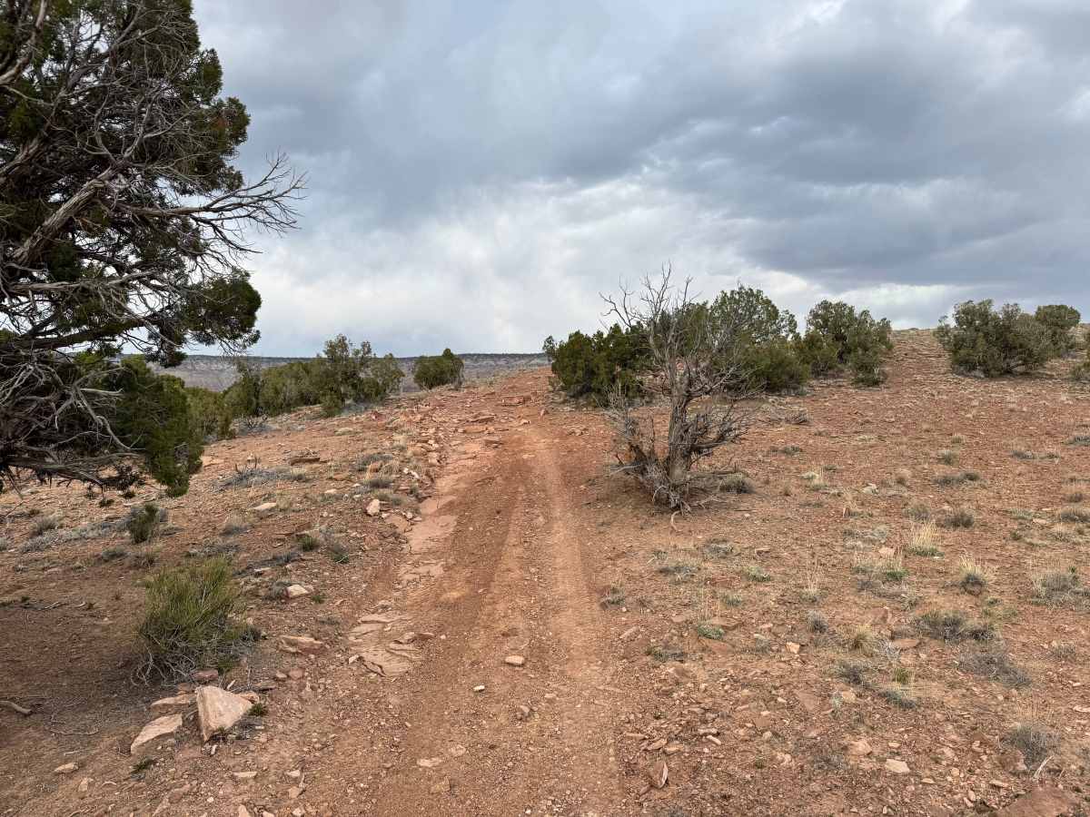 BLM 625 photo 4