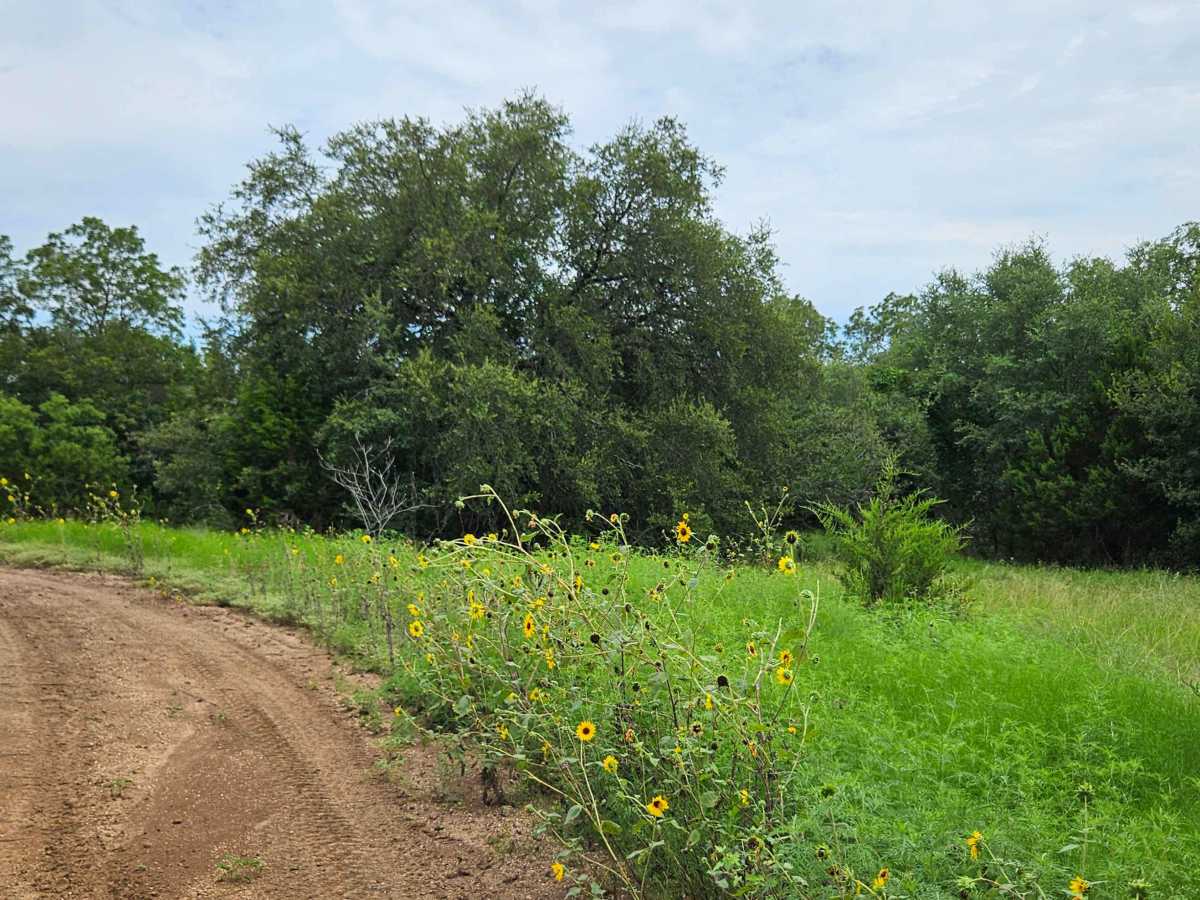 Buffalo Gap Run photo 4
