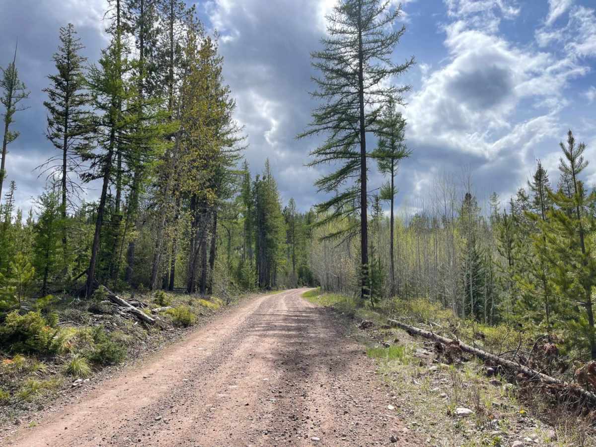 Archibald Loop photo 6