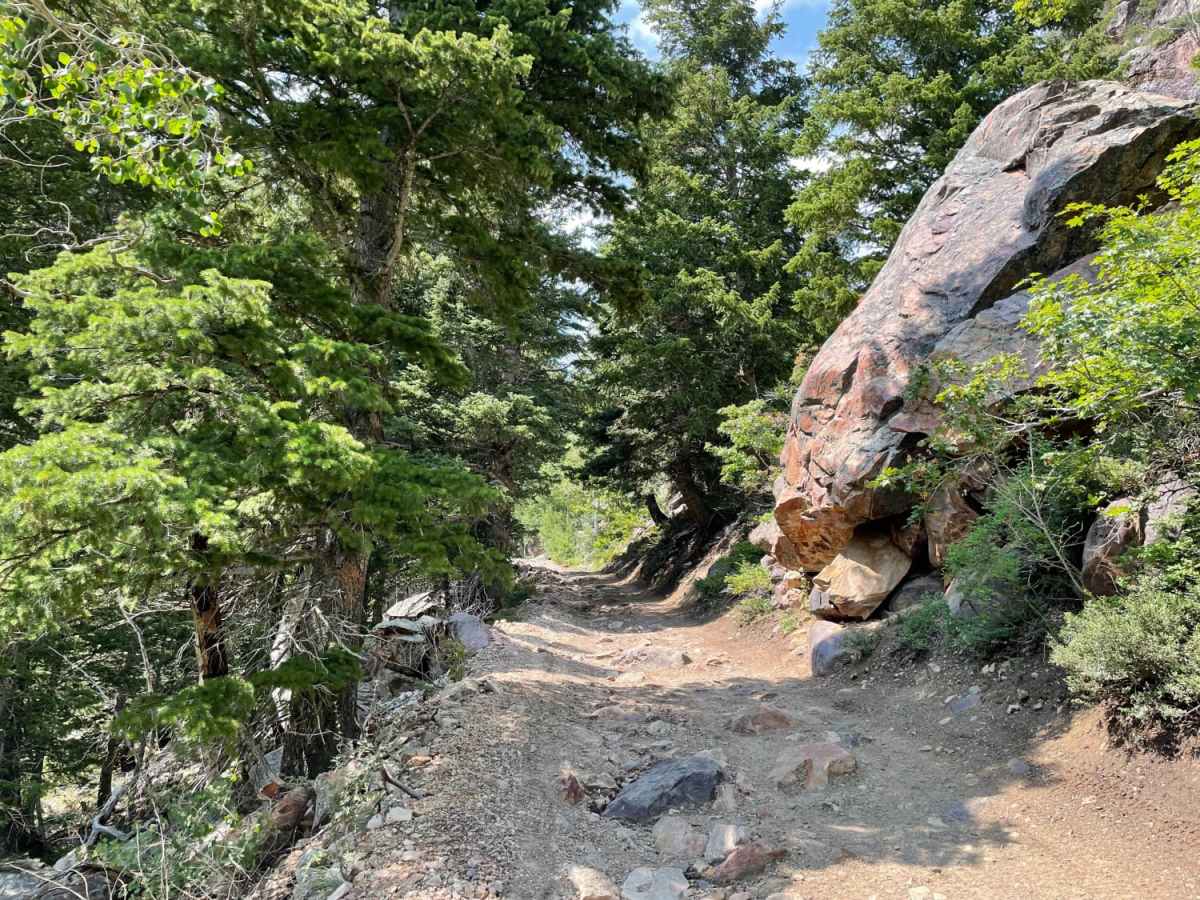Mary Ellen Gulch photo 3