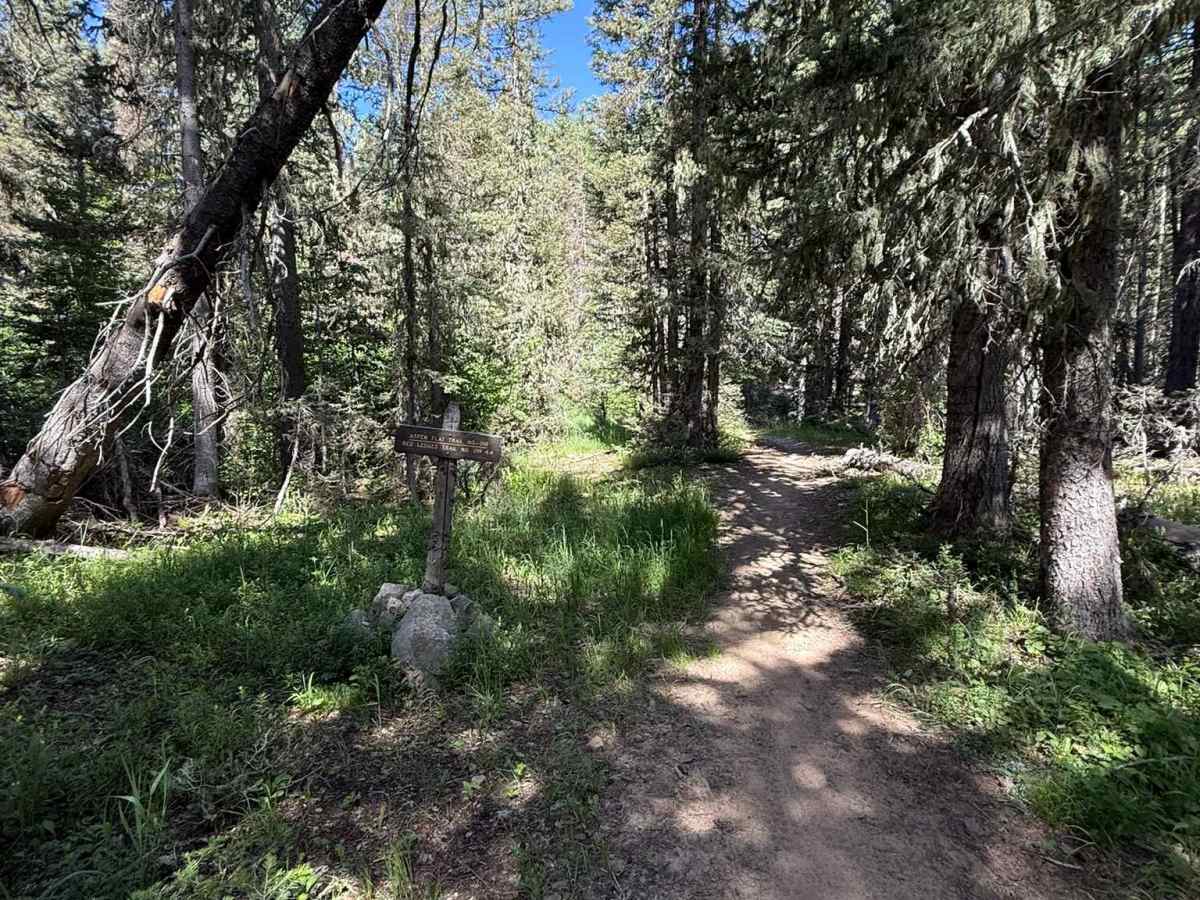 Aspen Flat Trail No. 018 photo 4