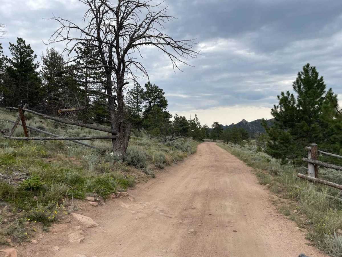 Twin Mountain Trail photo 2