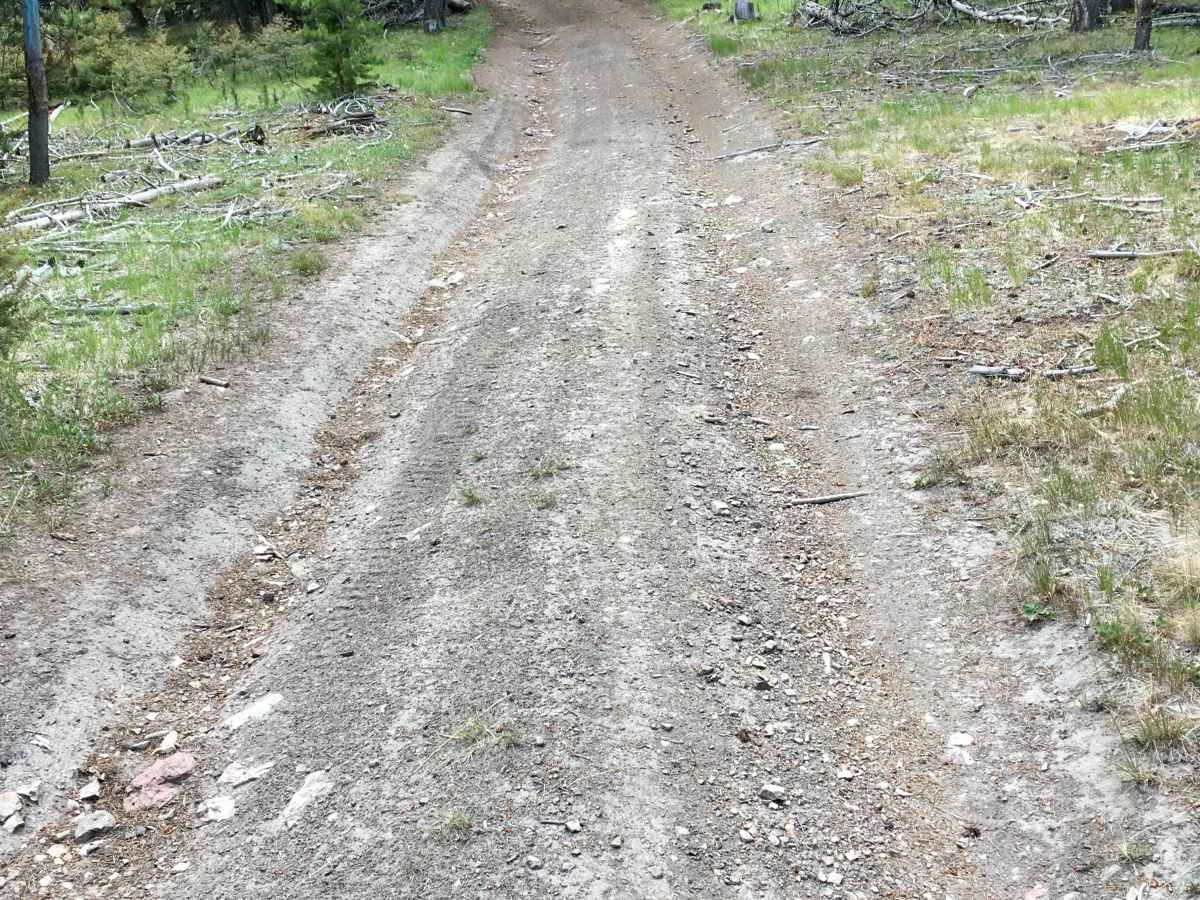 Everson Creek Road trail photo