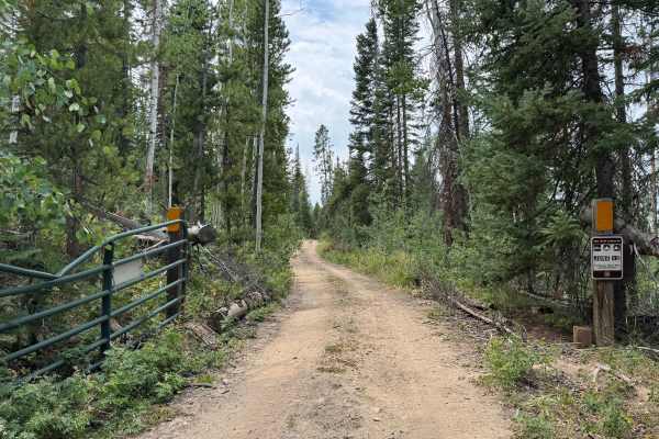Upper Mill Creek Road - FS 468