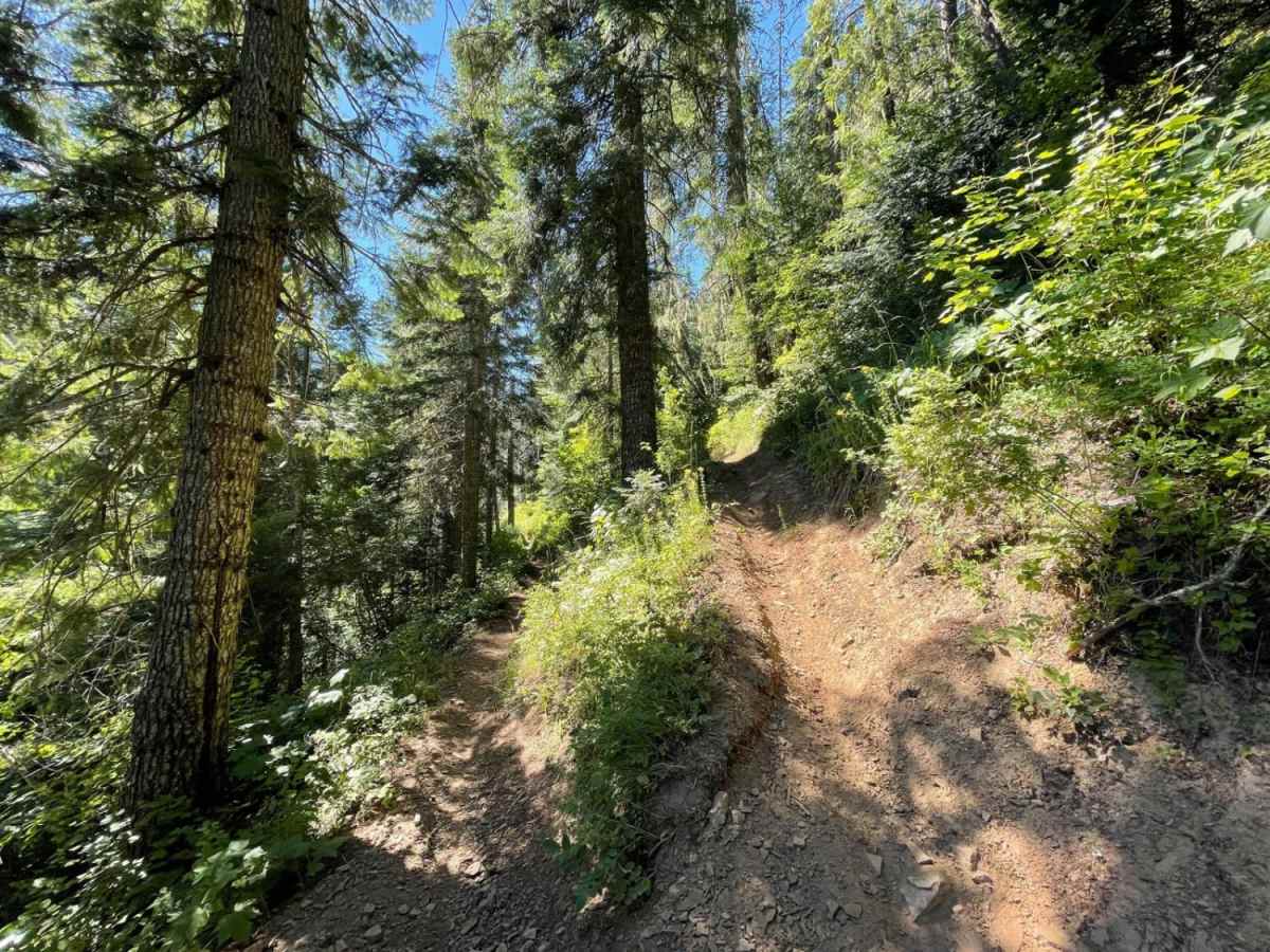 Devil Peak trail photo